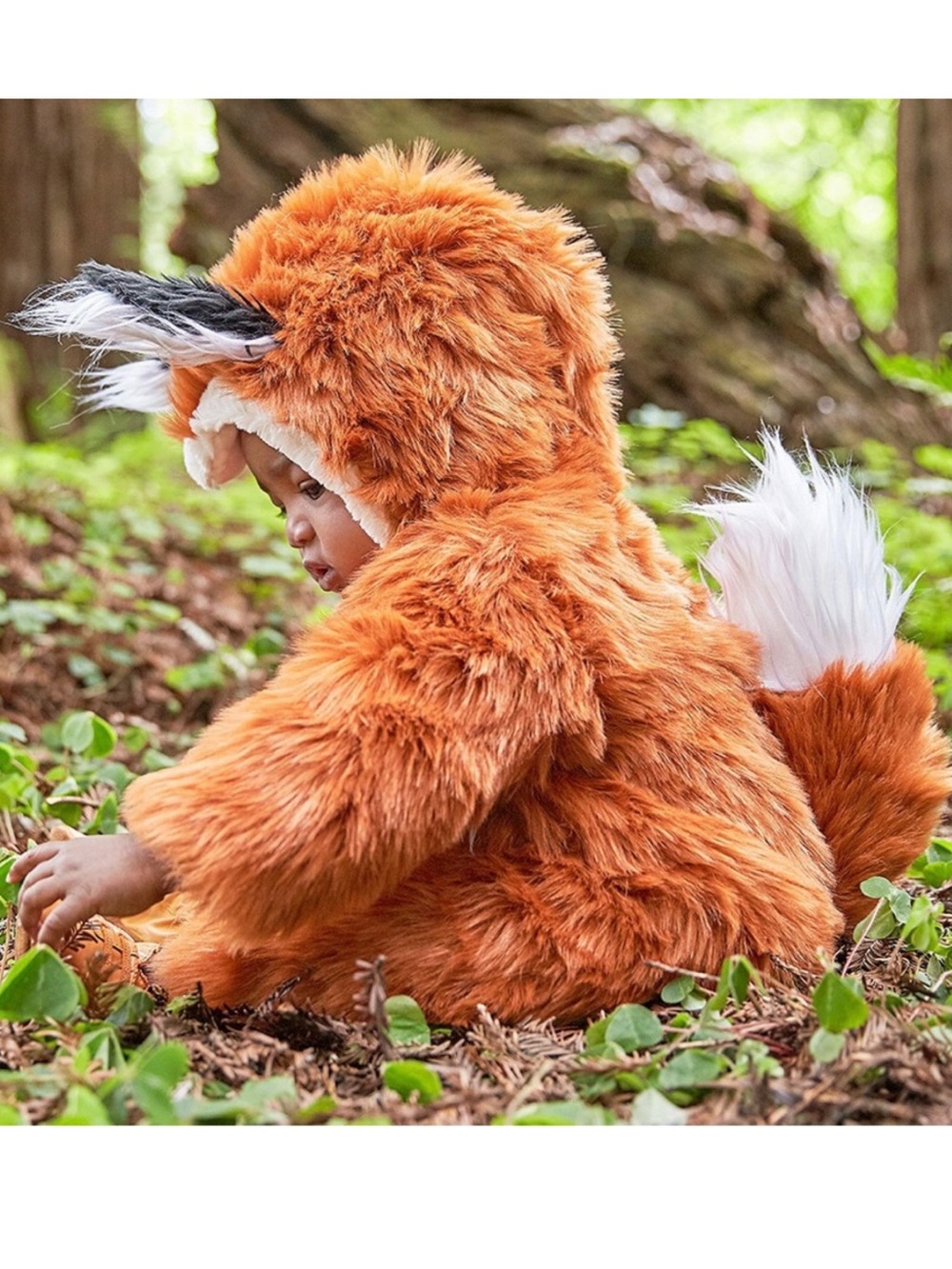 Pottery Barn Kids Woodland Baby Fox Halloween Costume One-piece Sz 0-6 mo